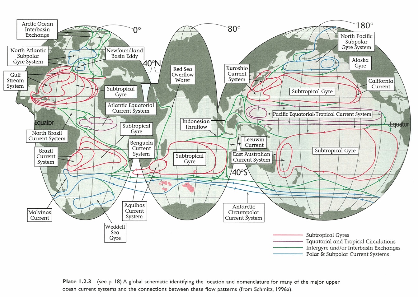 WOCE world ocean circulation map